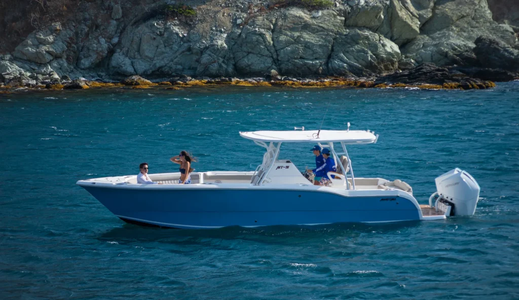 MT-31 - photo 4