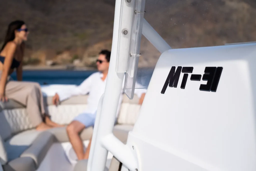 MT-31 - photo 5